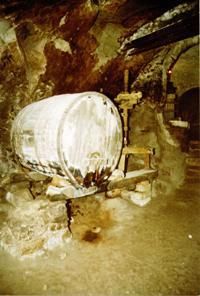 Castelvenere: una cantina