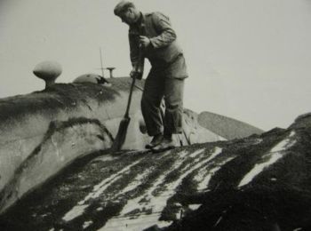 Gli effetti dell'eruzione del Vesuvio su un aereo americano