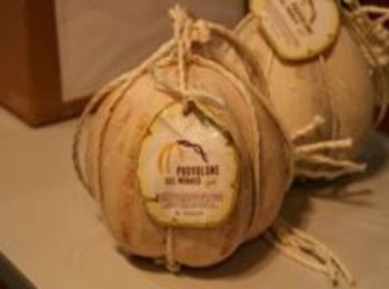 Il provolone del monaco