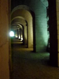 Immagine della Grotta di Seiano